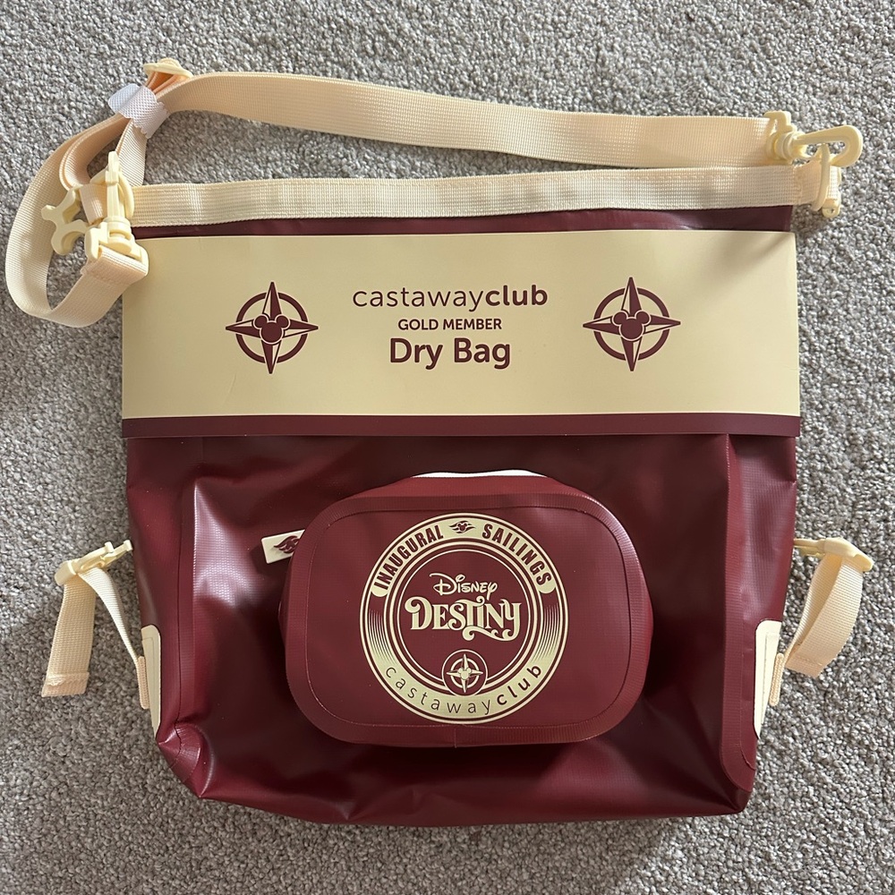 Disney Dry Bag